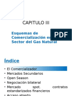 CAPITULO III - Esquemas de Comercialización en El Sector Del Gas Natural