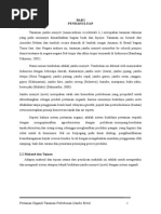 Download jambu Mete by Muhammad Fikri Nugroho Suryodiningrat SN270595928 doc pdf