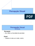 06 Percepcao Visual