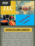 diapositivas-del-tlc.pdf