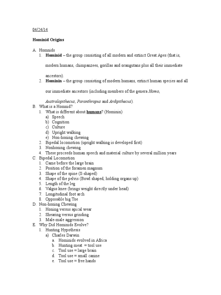 Hominid Evolution and Characteristics | PDF | Hominidae | Bipedalism