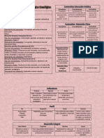 Cuadros de Contenidos Educ. Fisica Original