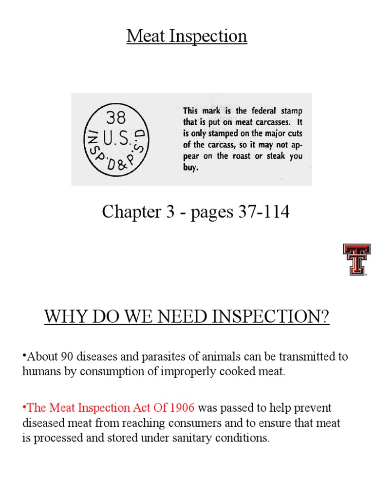 Inspection Kosher PDF Animal Slaughter Meat