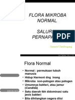 Flora Mikroba Normal