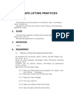 3-3-3 Lifting Technique Guide | PDF