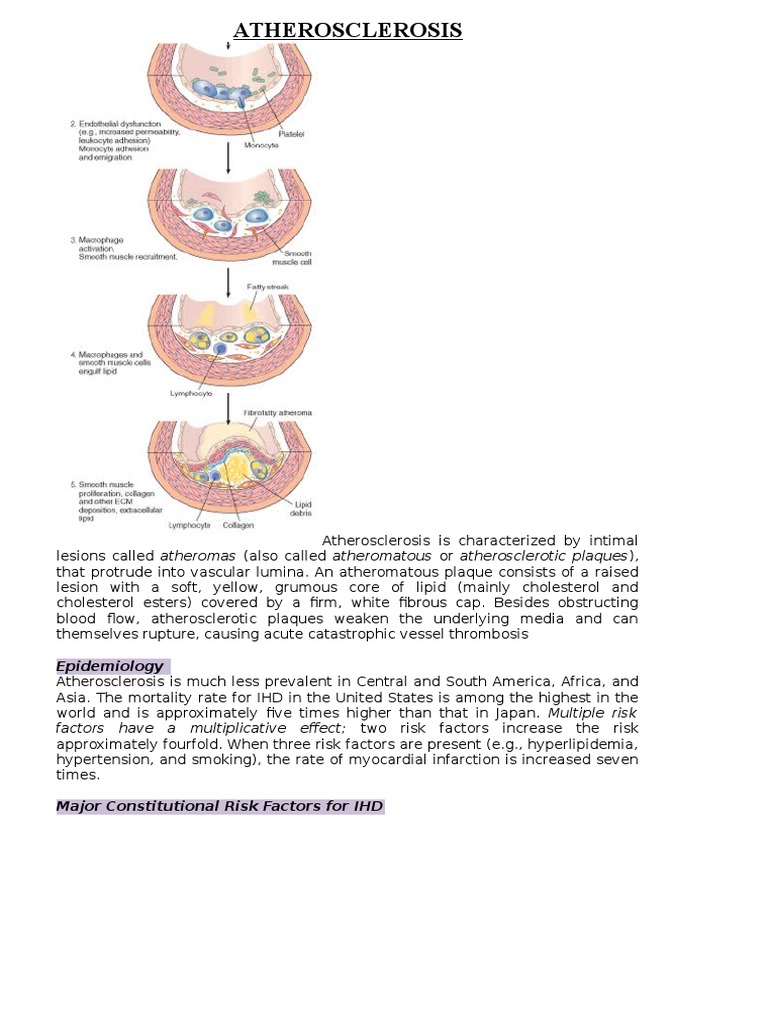 Atherosclerosis | PDF | Atherosclerosis | Atheroma