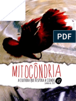 Mitocondria#02