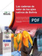 Cadenas Web PDF