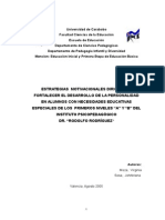 Estrategias Motivacionales Dirigidas A Fortalecer El Desarrollo de La Personalidad en Alumnos Con Necesidades Educativas Especiales de Los Primeros Niveles "A" y "B" Del Instituto Psicopedagógico