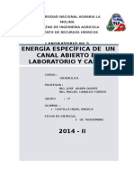 Lab Nº 2- Energia.especifica