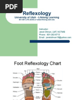 Hand Reflexology Techniques Chart | PDF