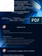 Análisis de Los Comportamientos de Flujo Del Gas Natural Durante Su Transporte.