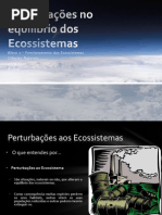 (4) Ciências Naturais - 8º Ano - Perturbações no equilíbrio dos Ecossistemas