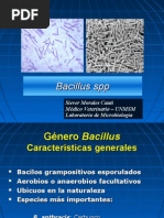 Download Bacillus Spp by elmataviejas SN27072659 doc pdf