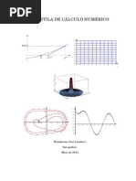 APOSTILA DE CÁLCULO NUMÉRICO