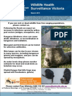 Wildlife Newsletter 03