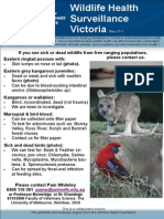 Wildlife Newsletter 04