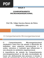 Aula 3 - Comportamento Microorganizacional