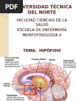 Hipofisis (anatomia,  fisiologia, irrigacion, inervacion, histologia)