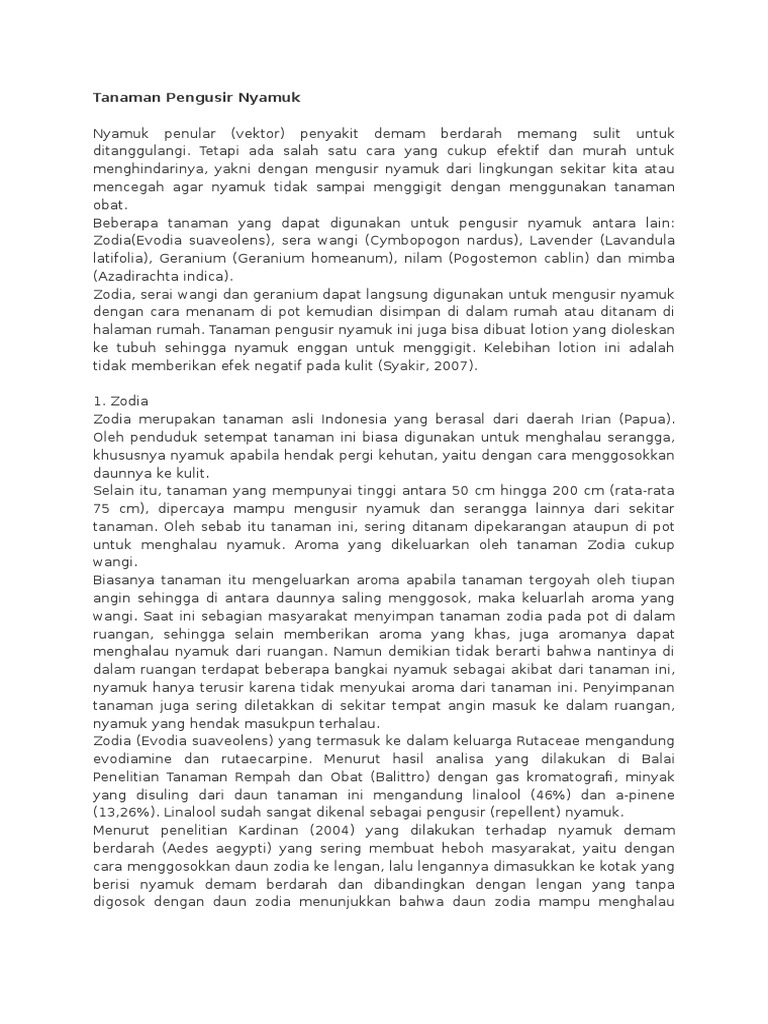 Tanaman Pengusir Nyamuk Tanaman Pengusir Nyamuk