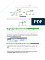 Plan Maestro de Producción (MPS)