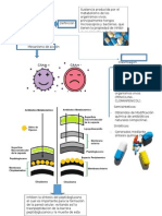 Antibióticos 