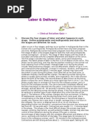 Download Labor and Delivery Quiz by Amy SN27079412 doc pdf