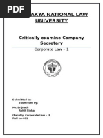 Critical Analysis of Role of Company Seceratry Final