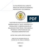 Auditoria Admtrativ A Una Empresa en Peru