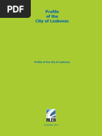 Community Profile Leskovac