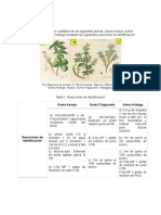 Informe 6 Gnosia