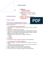 Cáncer cutáneo: clasificación y formas clínicas