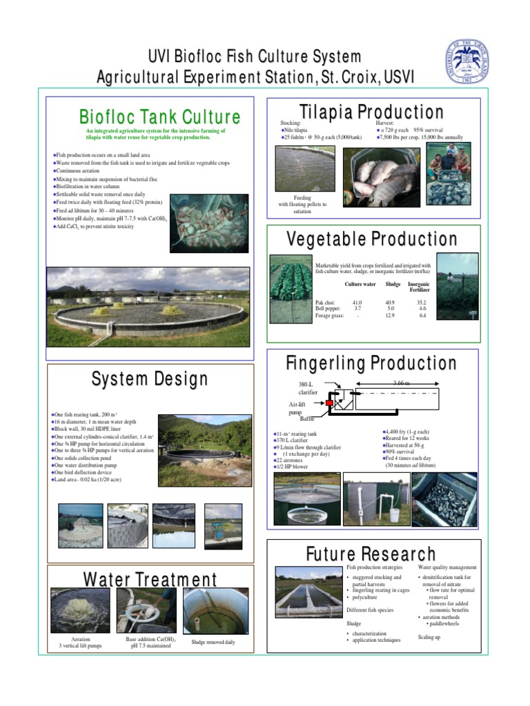Biofloc System for Tilapia Farming | PDF | Wellness | Science & Mathematics