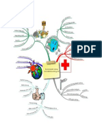 Mind Map 5 - Environmental Accounting