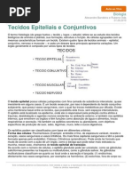 Tecido Epitelial e conjuntivo