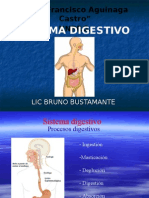 Aparato Digestivo