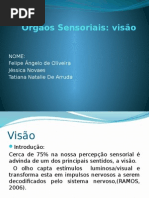 Os Sentidos