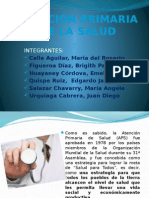 Atencionprimariadelasalud Expo Salud Publica II