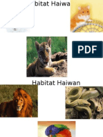 Habitat Haiwan