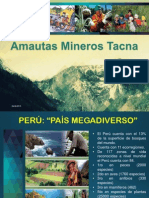 Amautas Oficial2015 PDF