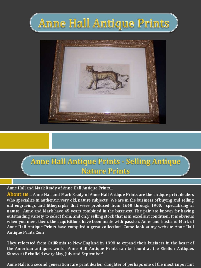 Anne Hall Antique Prints Lithography National Park