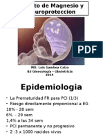 Sulfato Neuroproteccion