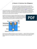 M?decine ? Base De Plantes ? L'Int?rieur Des Philippines