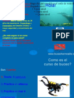 Pres Personal Precio Curso OW Padi Ene 10