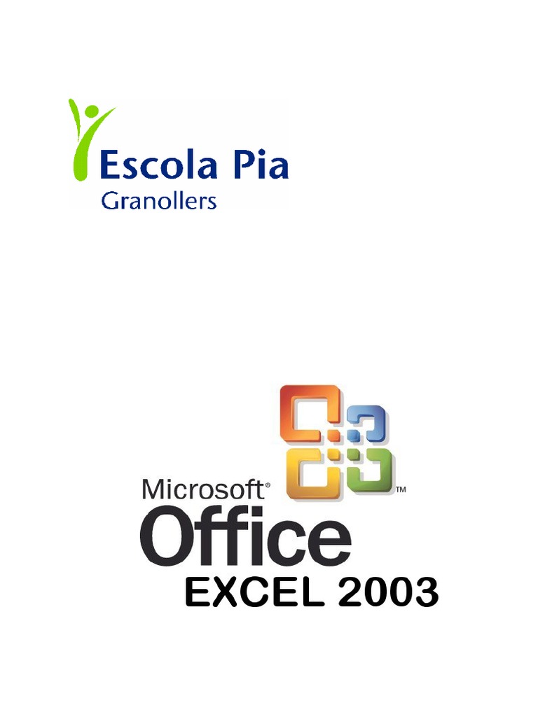 Excel 2003 - Teoria y Ejercicios | PDF | Business