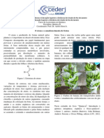 Curiosidades químicas 4 - O eteno e o amadurecimento de frutas.pdf