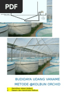 Download Sop Budidaya Udang Vaname Di Kolbun Orchid by dadangkoe SN270975136 doc pdf