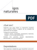 Enemigos naturales.pptx