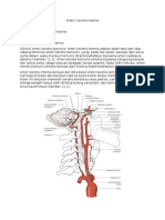 Arteri Carotid Interna (DUUS + Adam)