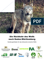 Rueckkehr Des Wolfes - Wolfsmanagementplan Baden-Württemberg